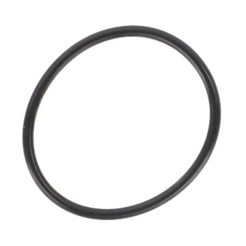 Picture of O-RING
