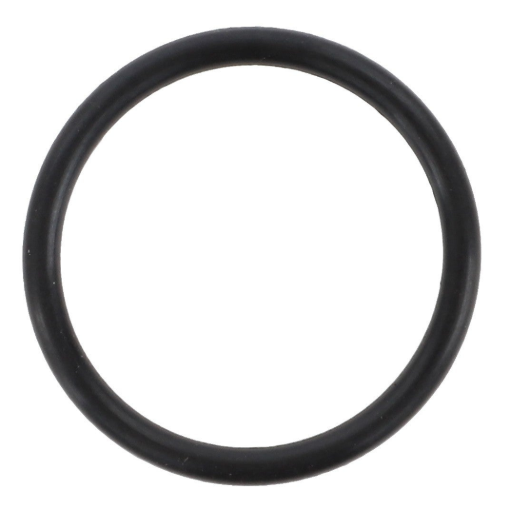 Picture of O-RING OR20X2 VITON