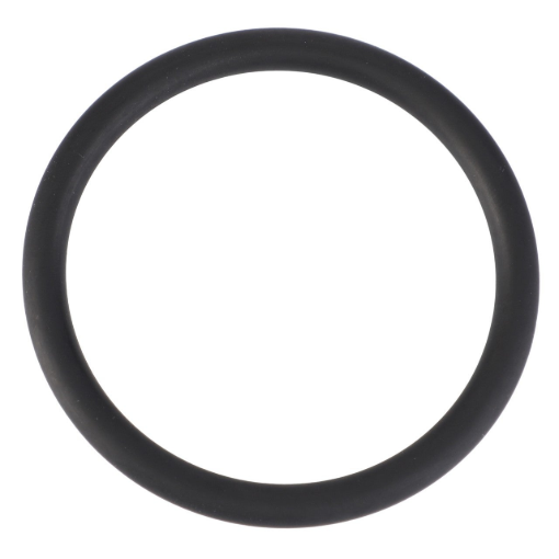 Picture of O-RING