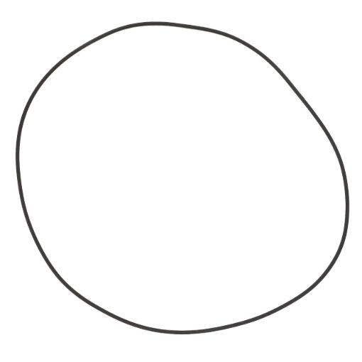Picture of O-RING