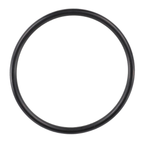Picture of O-RING