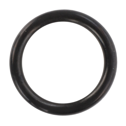Picture of O-RING