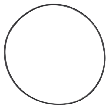Picture of O-RING