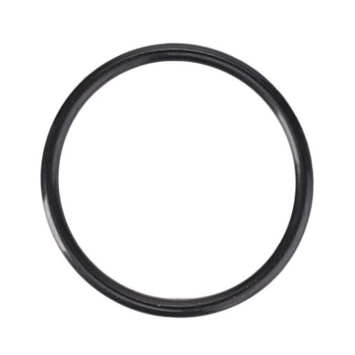 Picture of O-RING