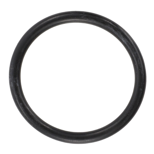Picture of O-RING