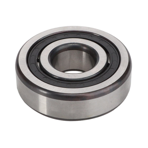 Picture of CYL. ROLLER BRG.