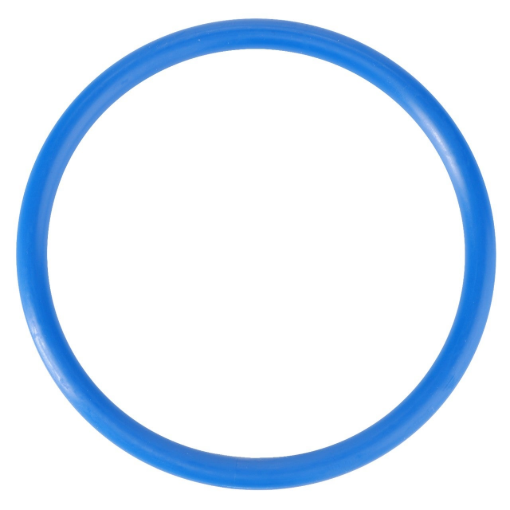 Picture of O-RING
