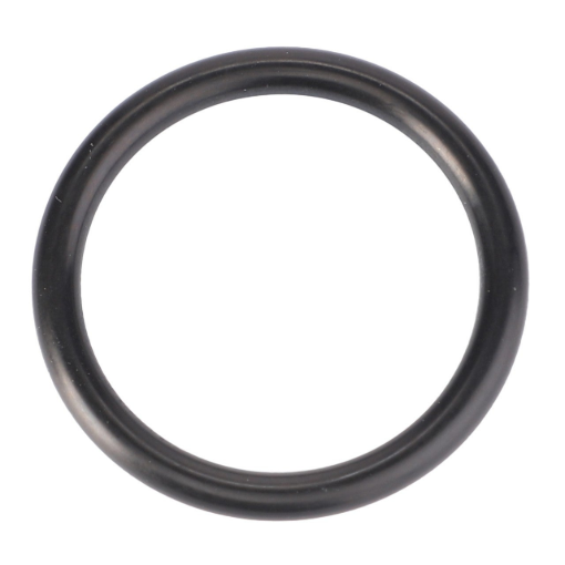 Picture of O-RING