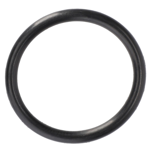 Picture of O-RING