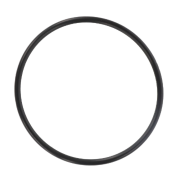 Picture of O RING