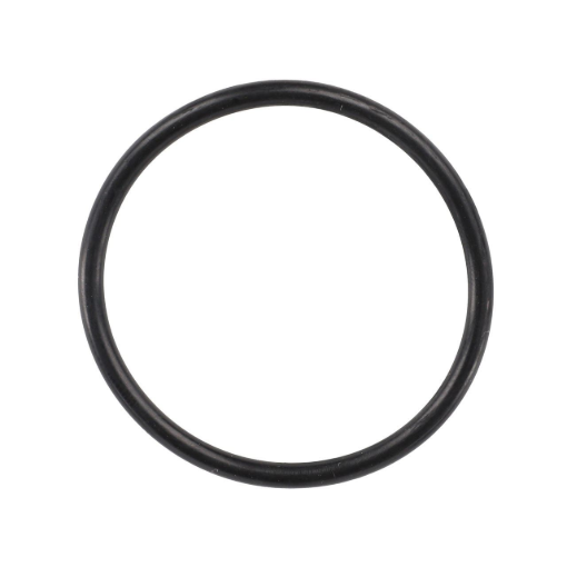 Picture of O-RING