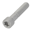 Picture of TORX HEAD SCREW