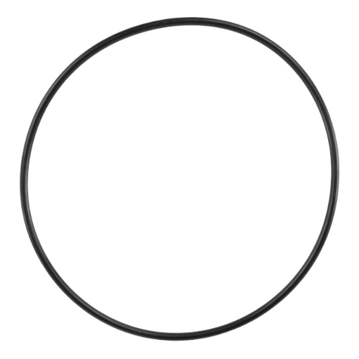 Picture of O-RING