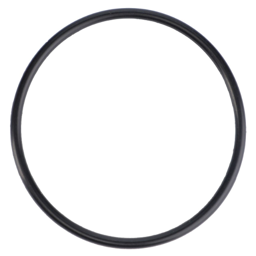 Picture of O-RING