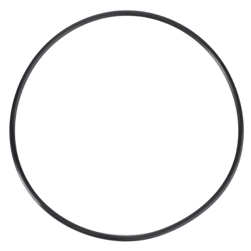 Picture of O-RING