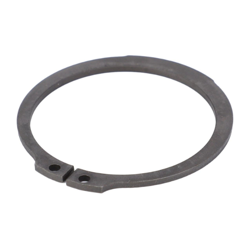 Picture of CLIPS