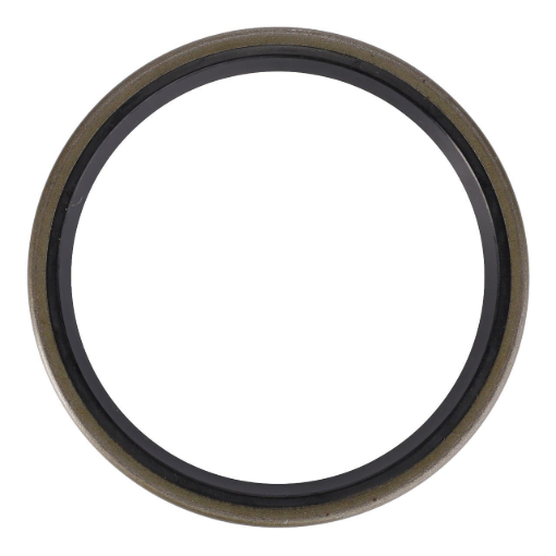 Picture of RING