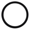 Picture of RING