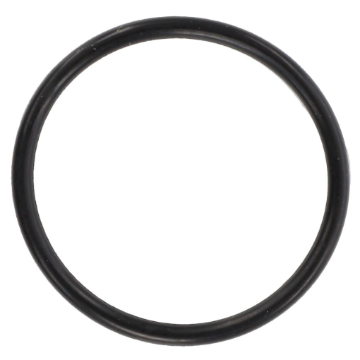 Picture of O-RING