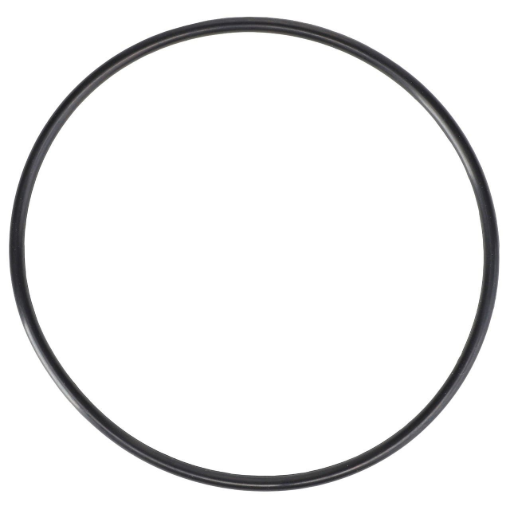 Picture of O-RING