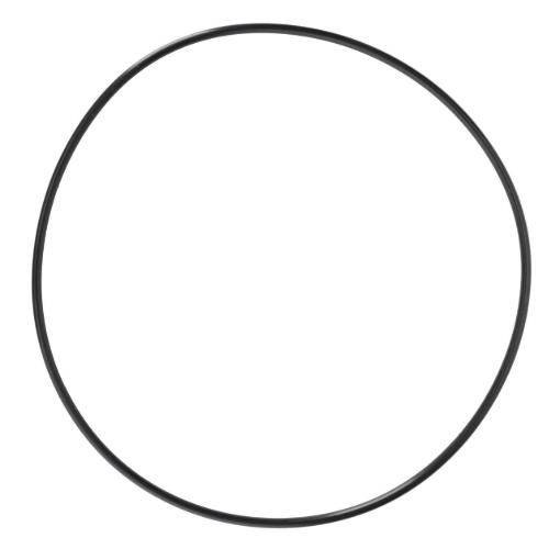 Picture of O-RING