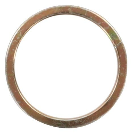 Picture of SPRINGRING