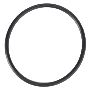 Picture of O-RING