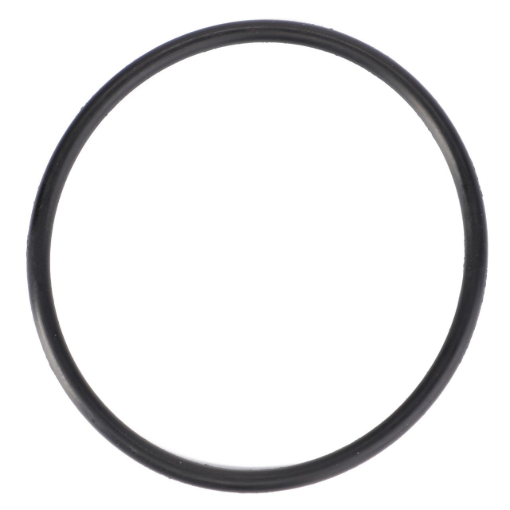 Picture of O-RING