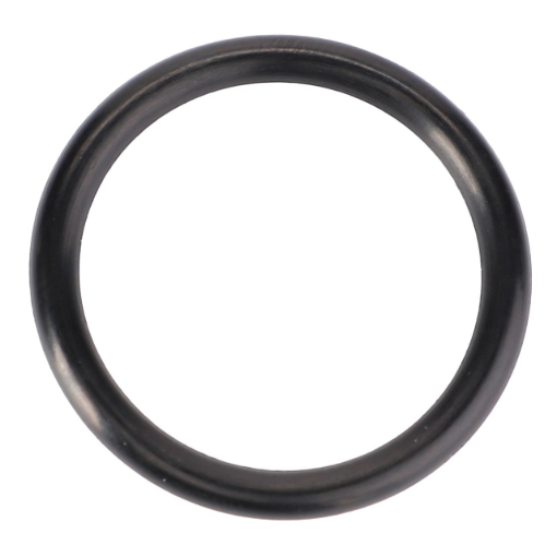 Picture of O-RING