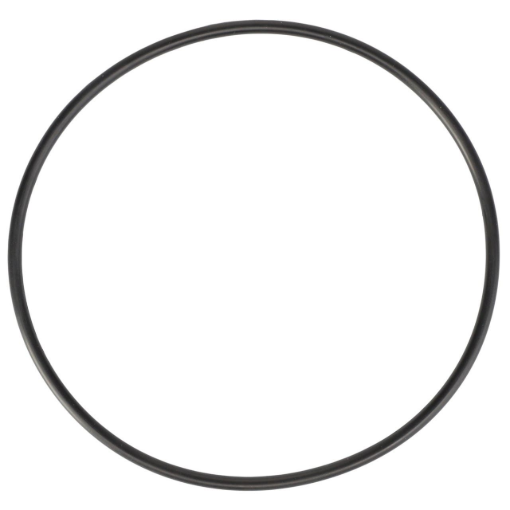 Picture of O-RING