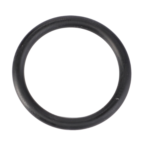 Picture of O-RING