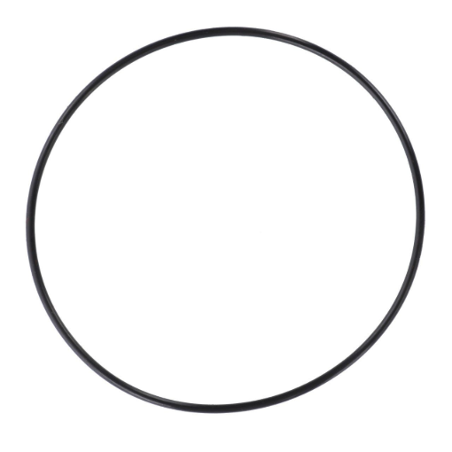 Picture of O-RING