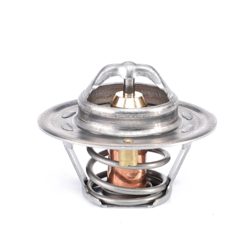 Picture of THERMOSTAAT 75GR