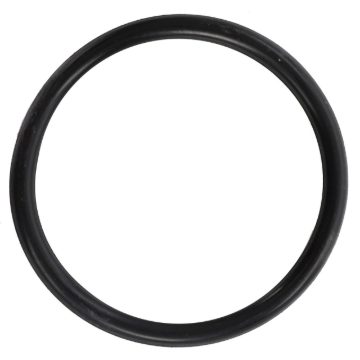 Picture of O-RING
