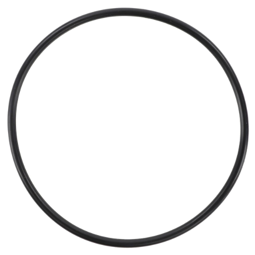 Picture of O-RING