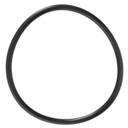 Picture of O-RING