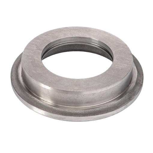 Picture of RING