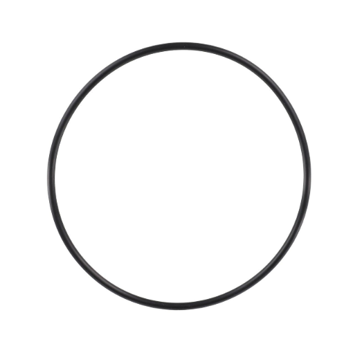 Picture of O-RING