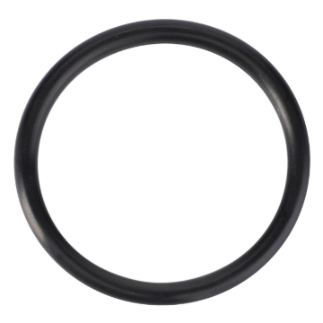 Picture of O-RING