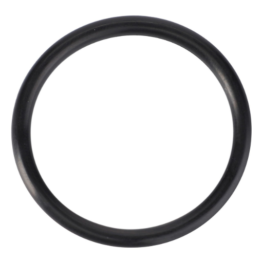 Picture of O-RING