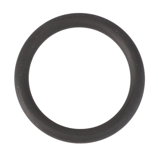 Picture of O-RING