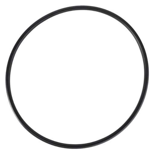 Picture of O-RING