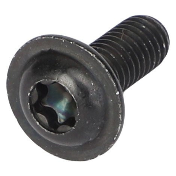 Picture of BH CAPSCREW