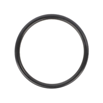 Picture of O-RING