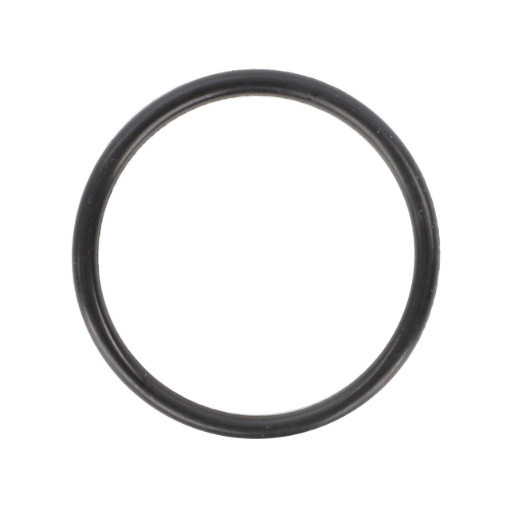 Picture of O-RING