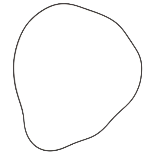 Picture of O-RING