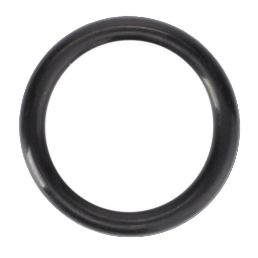 Picture of O-RING
