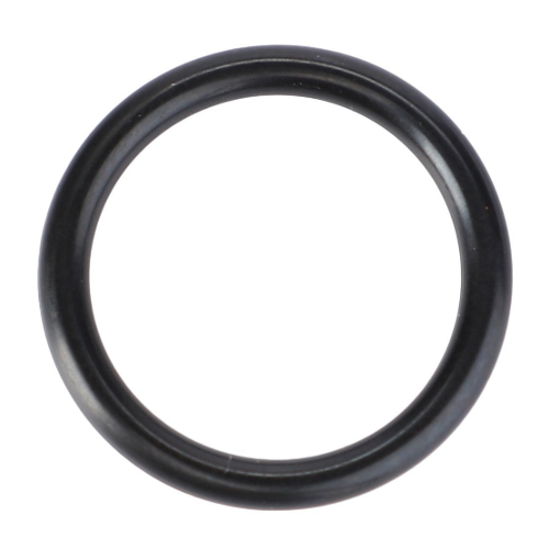 Picture of O-RING