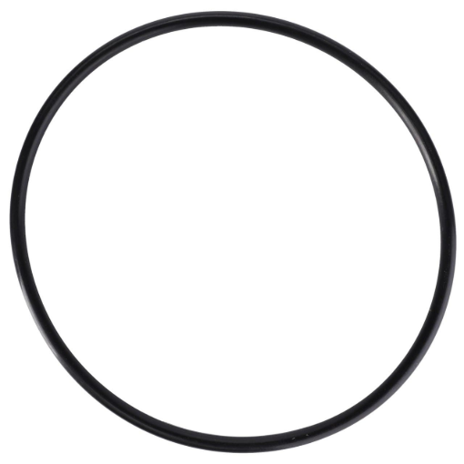 Picture of O-RING