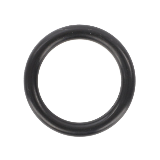 Picture of O-RING